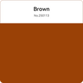 A paint swatch labeled "Brown No.250113" features a large brown sample below the text, echoing the rich shade of Flashforge PETG 1.75mm 3D Printing Filament by Flashforge for enthusiasts.
